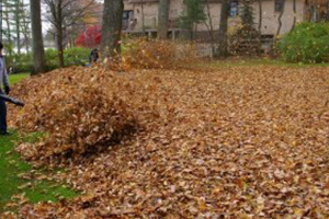 fall cleanup services in Parkesburg, PA