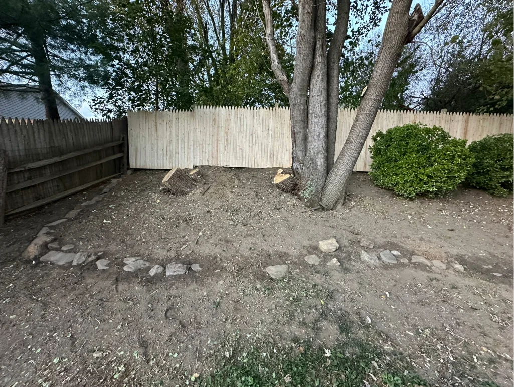 Tree Services - Windyhill Property Care