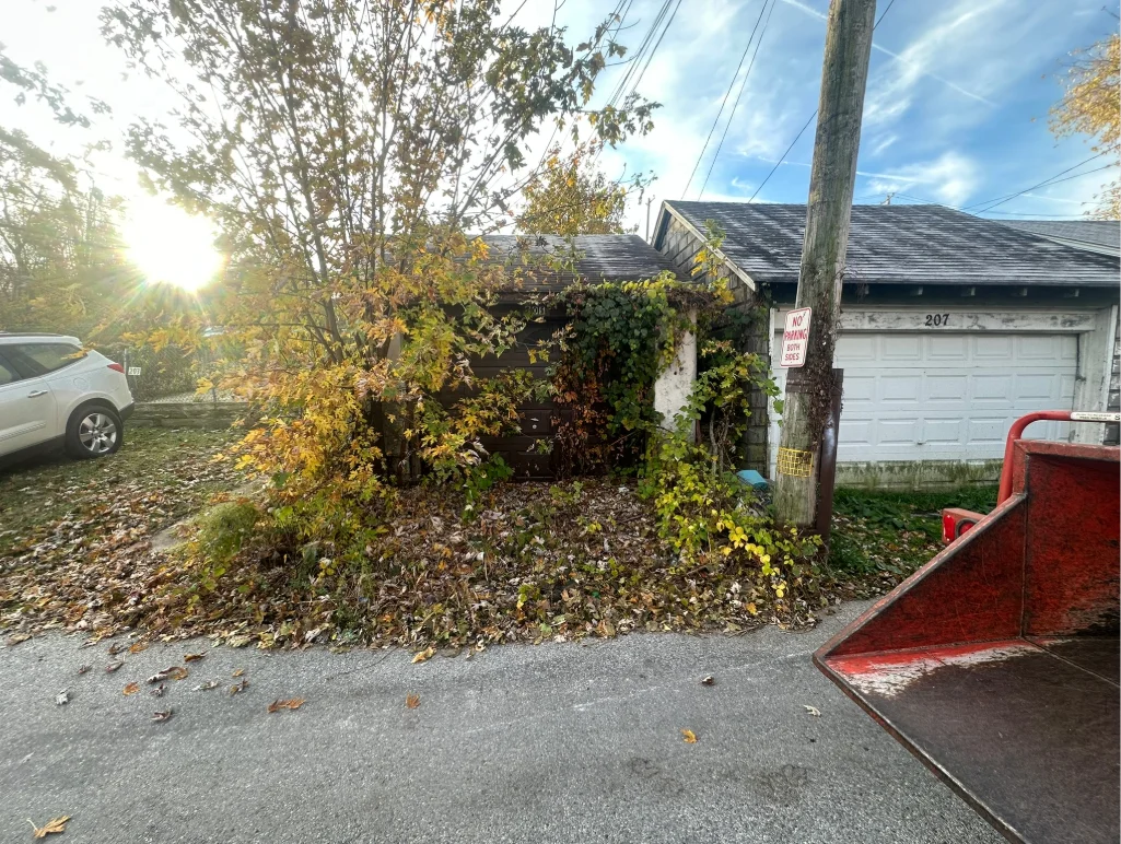 Fall Cleanup - Windyhill Property Care