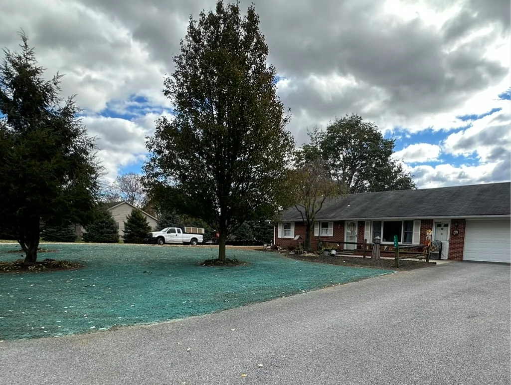 Hydroseeding - After - Windyhill Property Care