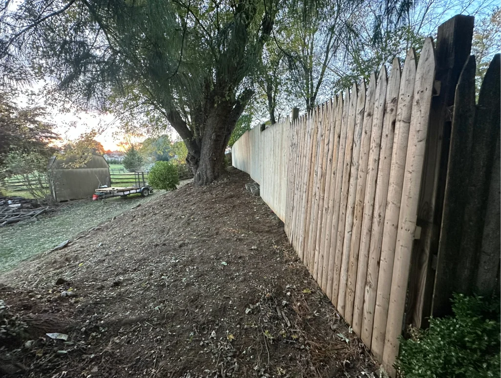 Tree Trimming - Windyhill Property Care