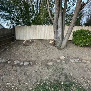 Tree Services - Windyhill Property Care