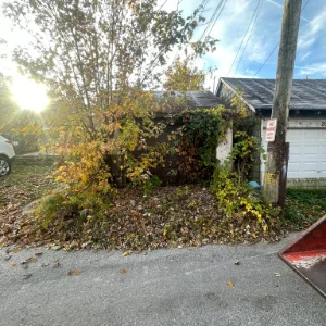 Fall Cleanup - Windyhill Property Care