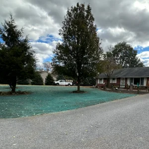 Hydroseeding - After - Windyhill Property Care