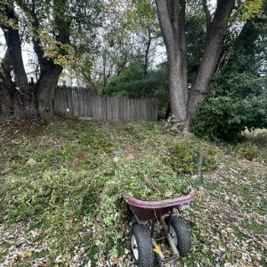 Spring Cleanup - Windyhill Property Care