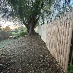 Tree Trimming - Windyhill Property Care