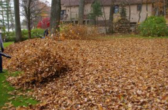 Fall Cleanup services in Parkesburg, PA