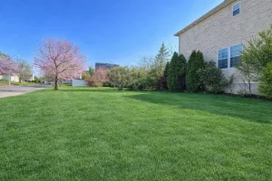 Open backyard in a residential Exton, PA home