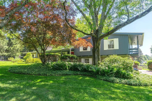 Tree services in Parkesburg, PA