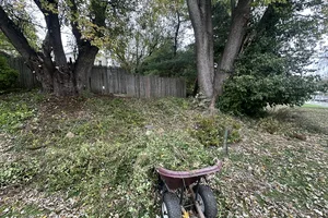 Weeding services in Downingtown, PA